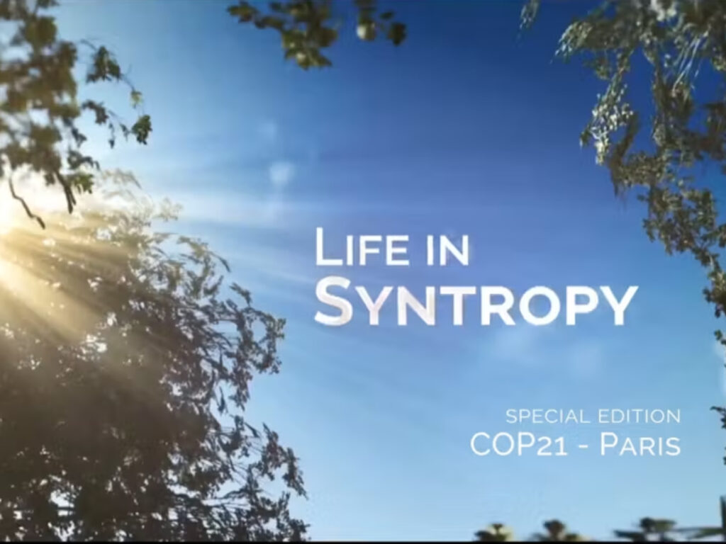 Life in Syntropy